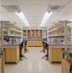 Cornell 82009 04